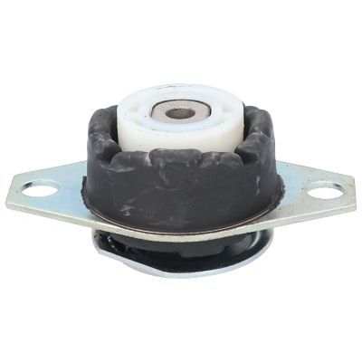 Variklio montavimas BIRTH 50046