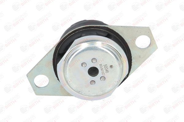 Variklio montavimas BIRTH 50046