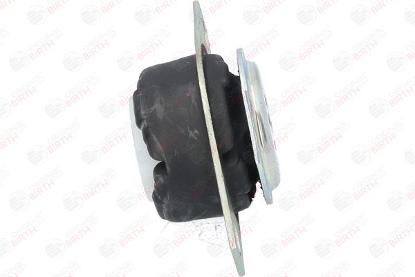 Variklio montavimas BIRTH 50046