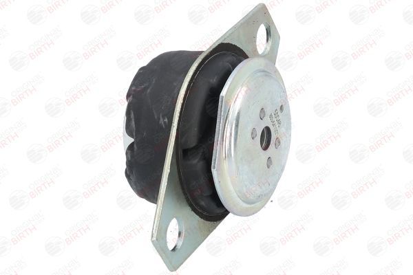 Variklio montavimas BIRTH 50046