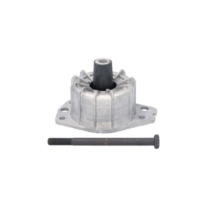 Variklio montavimas BIRTH 50058