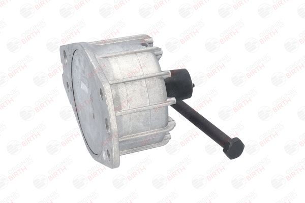 Variklio montavimas BIRTH 50058