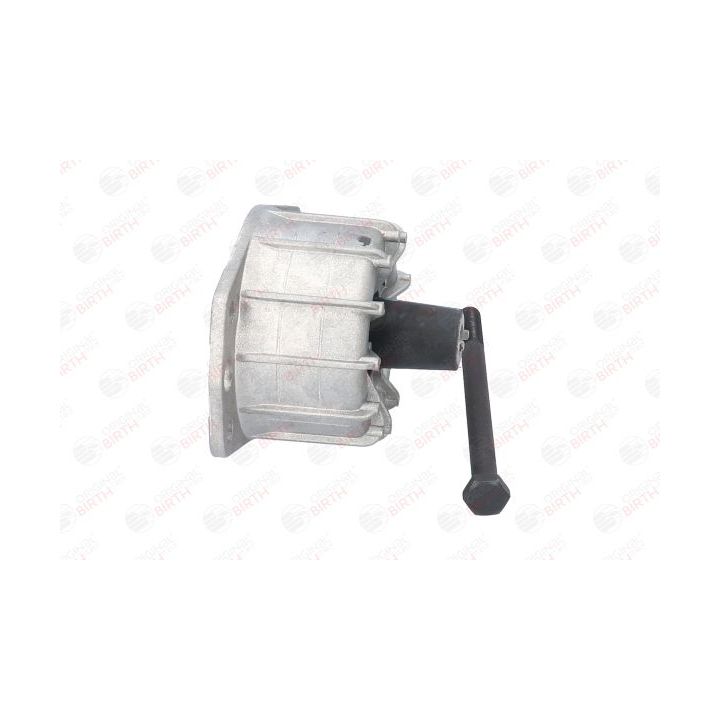 Variklio montavimas BIRTH 50058