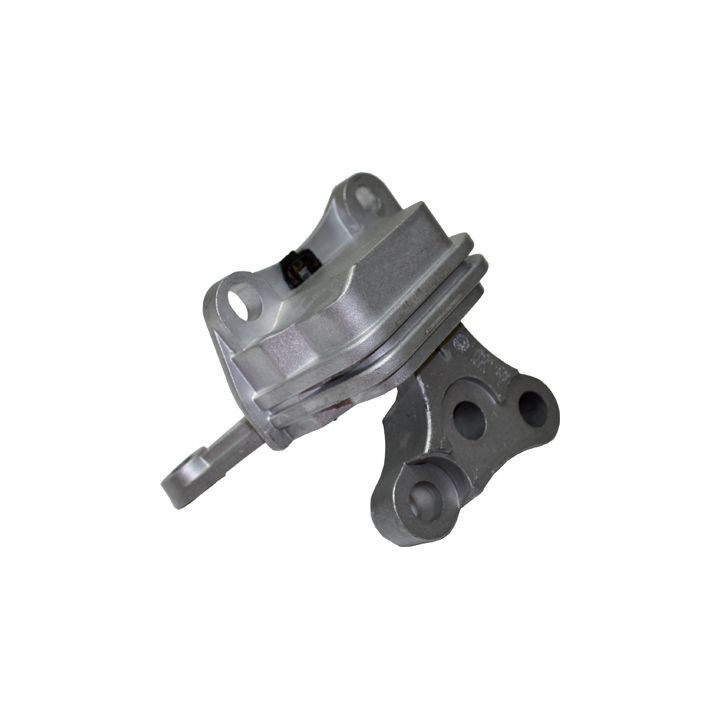 Variklio montavimas BIRTH 50061