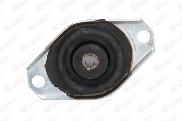 Variklio montavimas BIRTH 50073