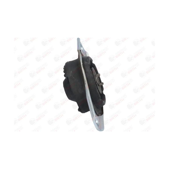 Variklio montavimas BIRTH 50073