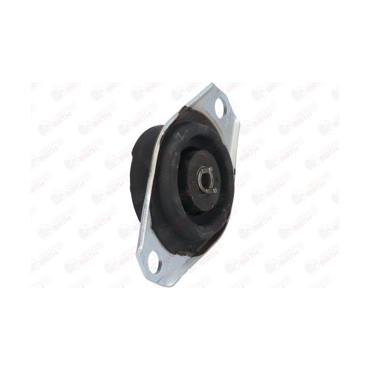 Variklio montavimas BIRTH 50073