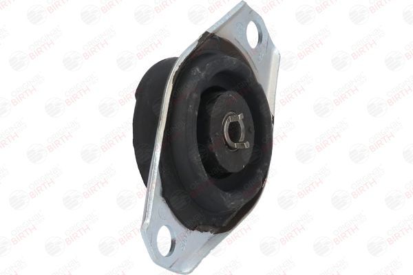 Variklio montavimas BIRTH 50073