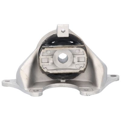 Variklio montavimas BIRTH 50105