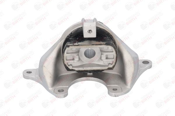 Variklio montavimas BIRTH 50105