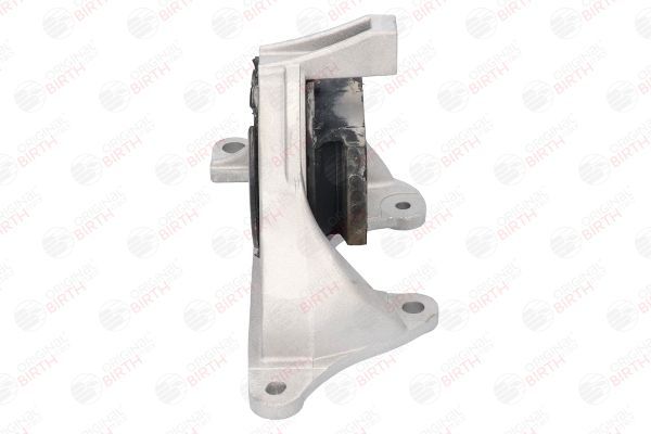 Variklio montavimas BIRTH 50105