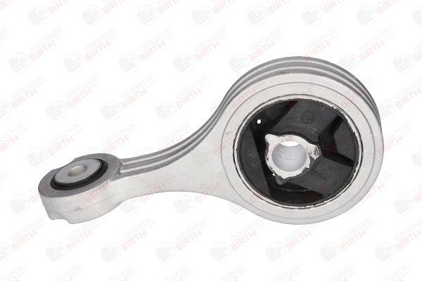 Variklio montavimas BIRTH 50107