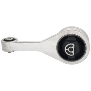 Variklio montavimas BIRTH 50175