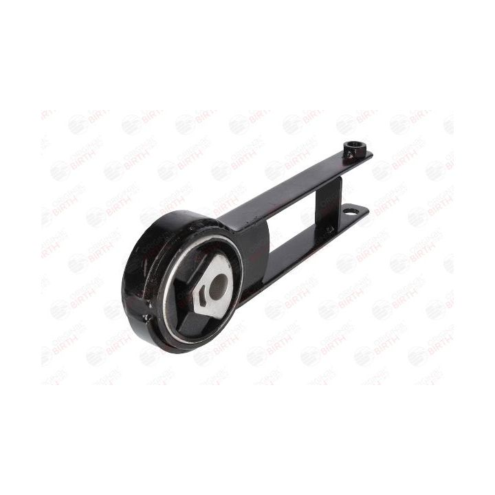 Variklio montavimas BIRTH 50187