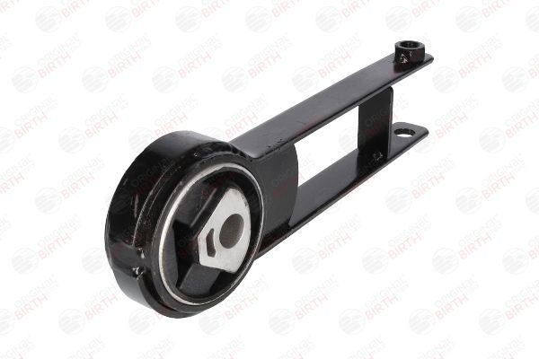 Variklio montavimas BIRTH 50187