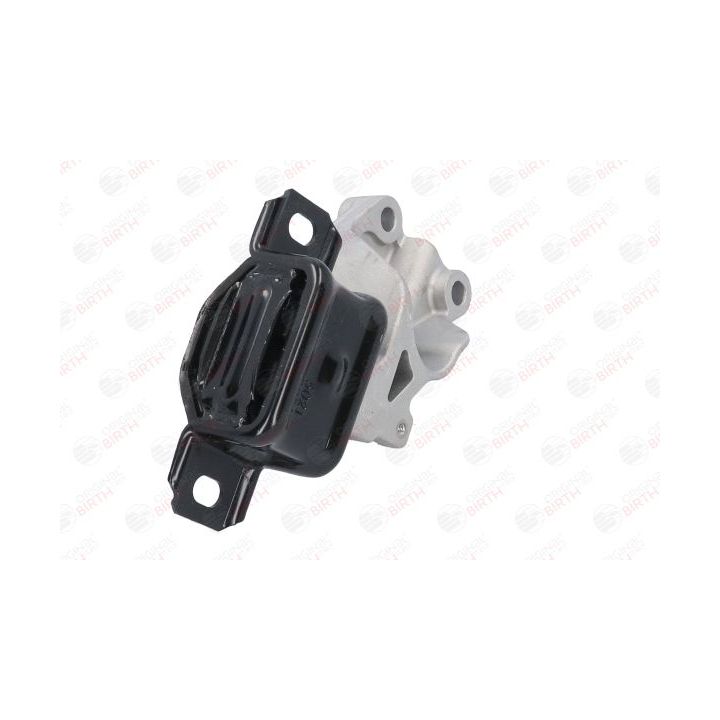 Variklio montavimas BIRTH 5021