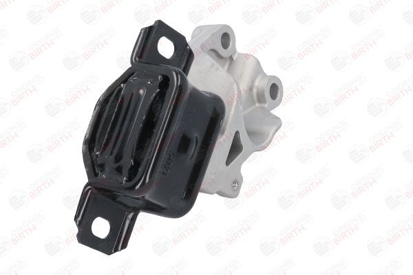 Variklio montavimas BIRTH 5021