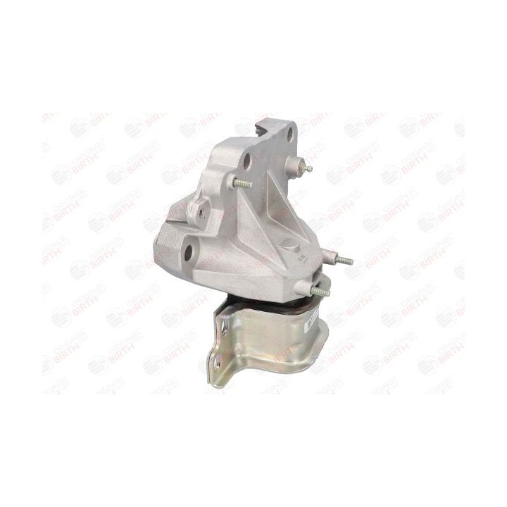 Variklio montavimas BIRTH 50222