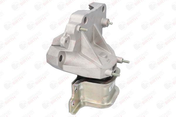 Variklio montavimas BIRTH 50222