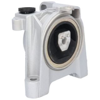 Variklio montavimas BIRTH 50384