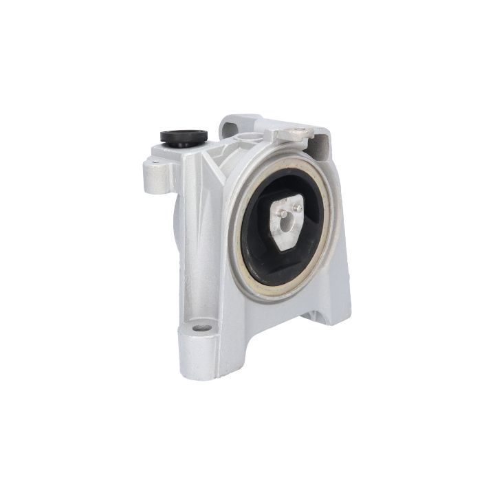 Variklio montavimas BIRTH 50384