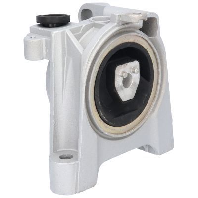 Variklio montavimas BIRTH 50384