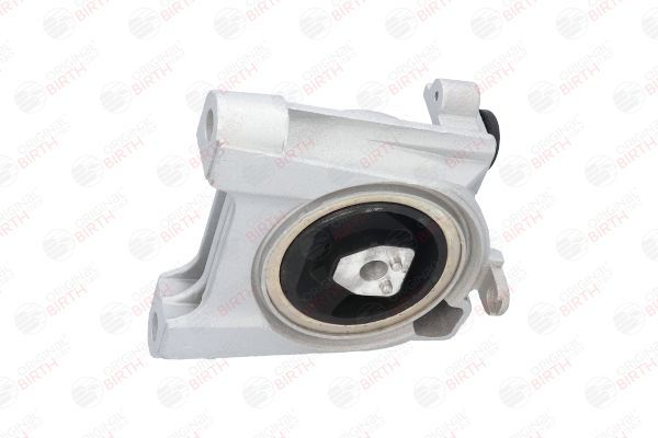 Variklio montavimas BIRTH 50384