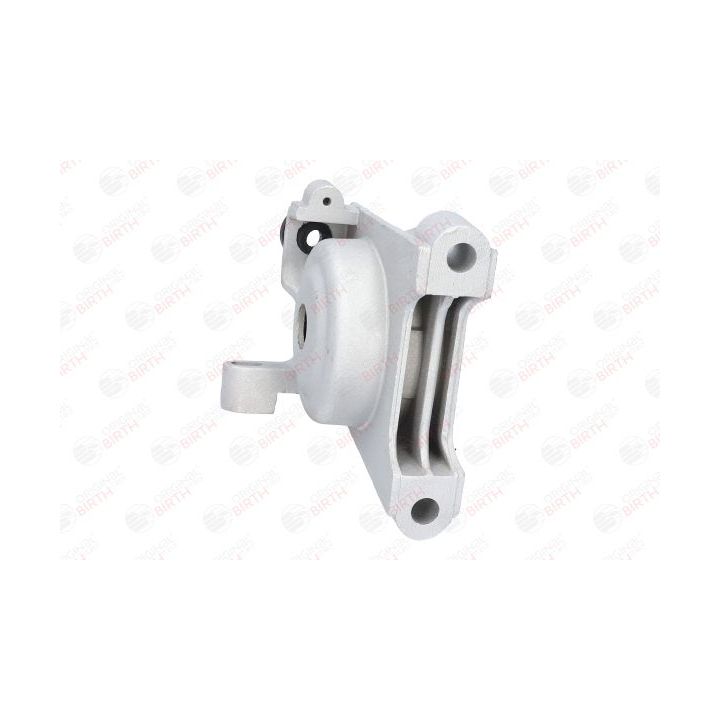 Variklio montavimas BIRTH 50384