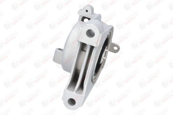 Variklio montavimas BIRTH 50384