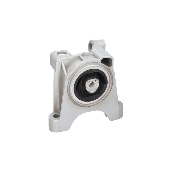 Variklio montavimas BIRTH 50385