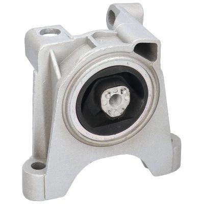 Variklio montavimas BIRTH 50385