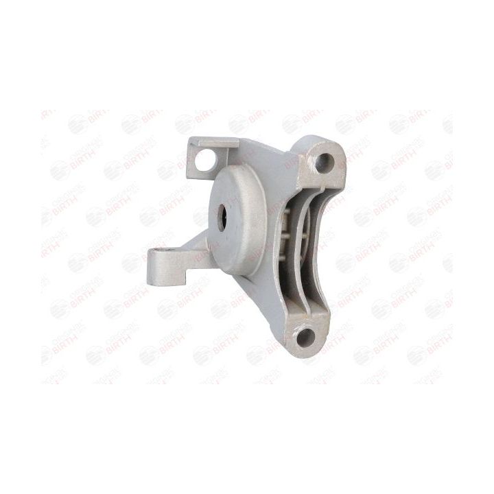 Variklio montavimas BIRTH 50385