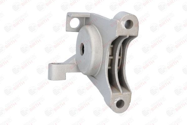 Variklio montavimas BIRTH 50385