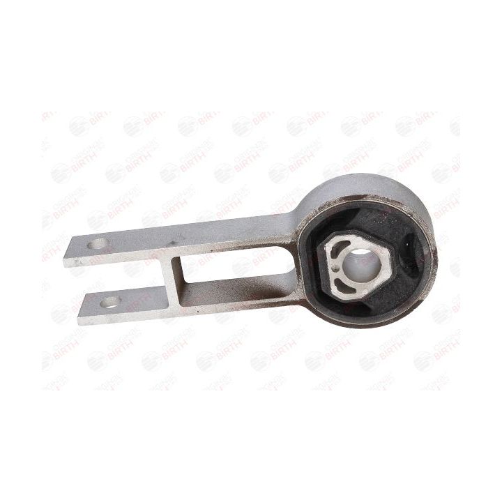 Variklio montavimas BIRTH 50387