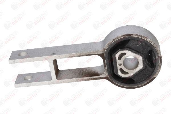 Variklio montavimas BIRTH 50387