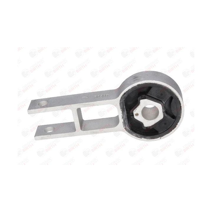 Variklio montavimas BIRTH 50397