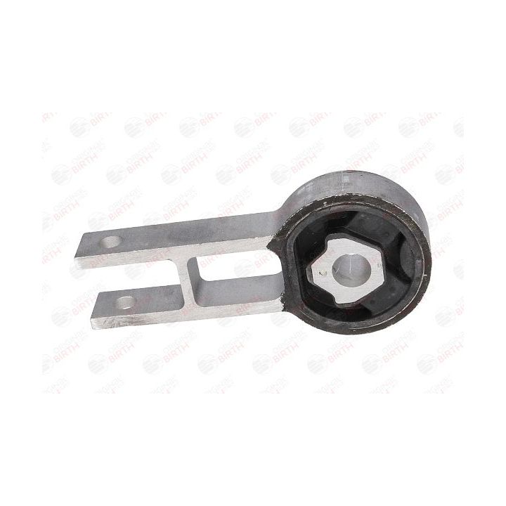 Variklio montavimas BIRTH 50398