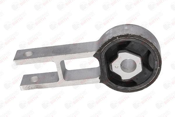 Variklio montavimas BIRTH 50398