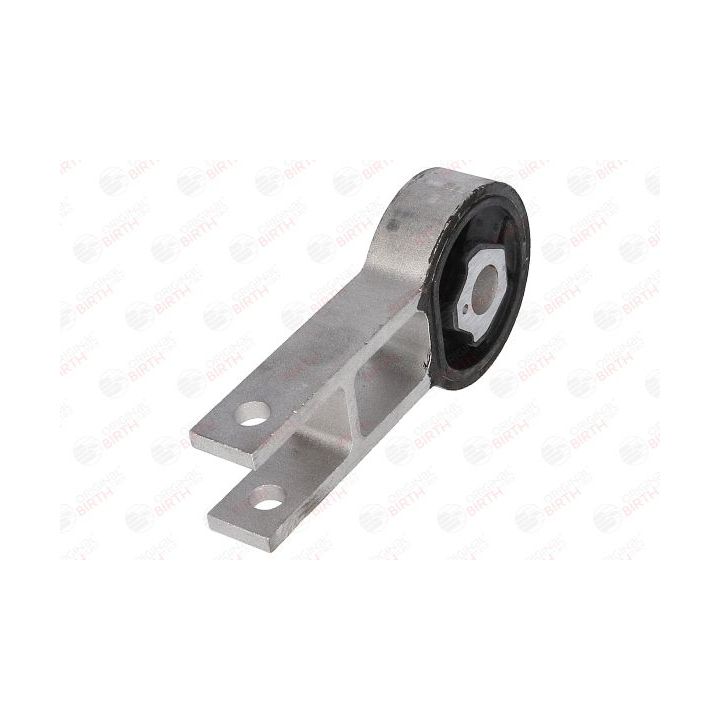 Variklio montavimas BIRTH 50398