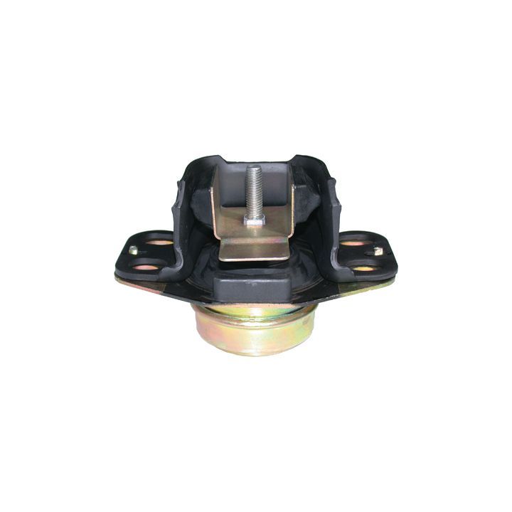 Variklio montavimas BIRTH 50402