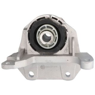 Variklio montavimas BIRTH 50404