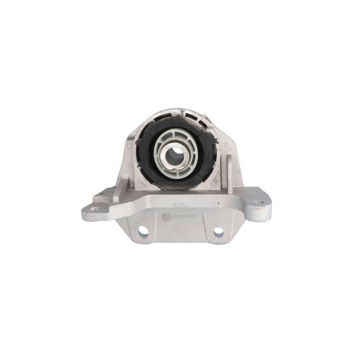 Variklio montavimas BIRTH 50404