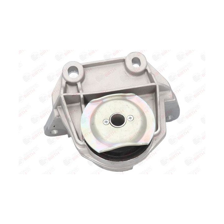 Variklio montavimas BIRTH 50404