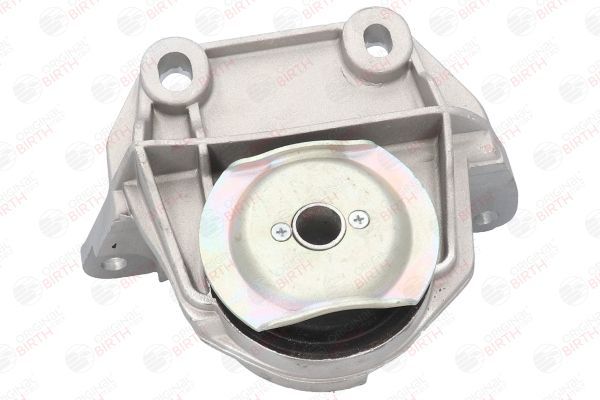 Variklio montavimas BIRTH 50404