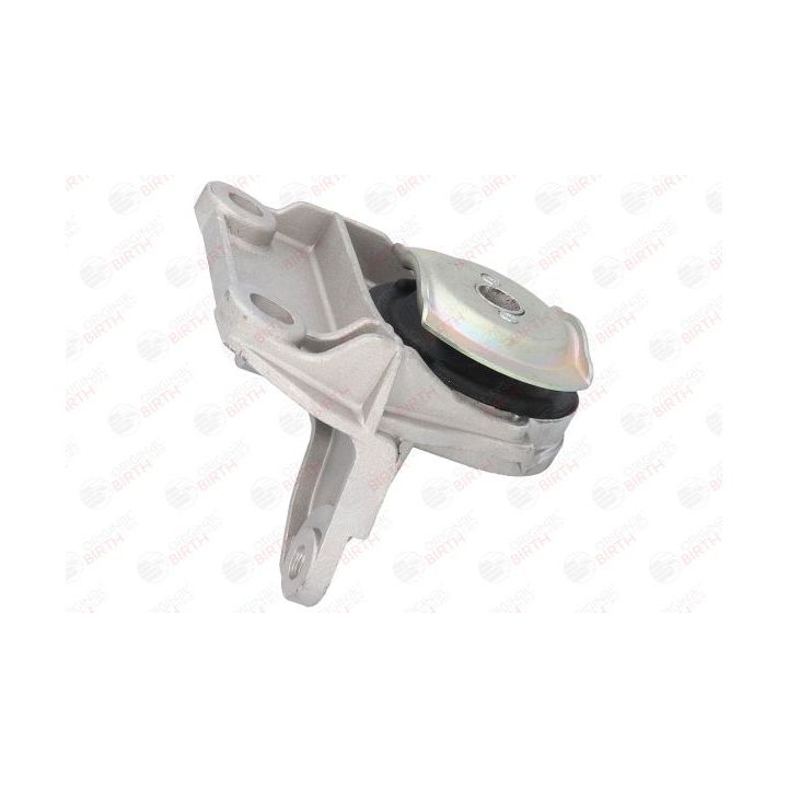 Variklio montavimas BIRTH 50404