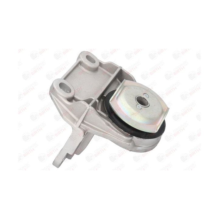 Variklio montavimas BIRTH 50404