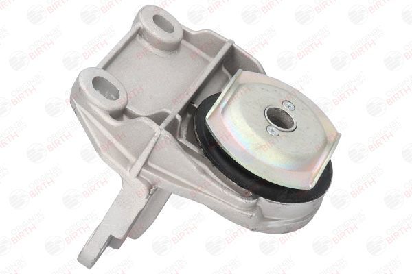 Variklio montavimas BIRTH 50404