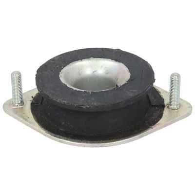 Variklio montavimas BIRTH 50436