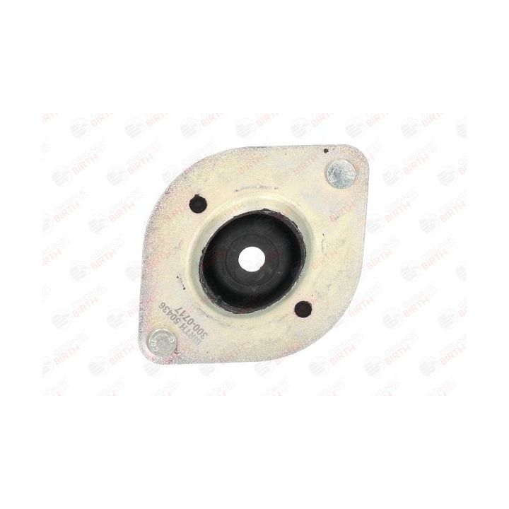 Variklio montavimas BIRTH 50436