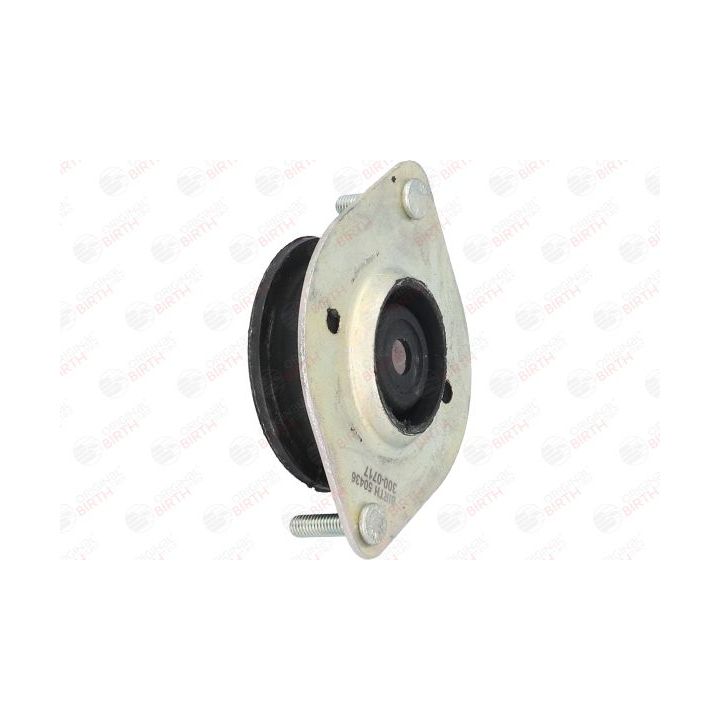 Variklio montavimas BIRTH 50436